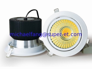 China Manufacture High brightness 30W LED COB Downlight COB Down light made in china supplier