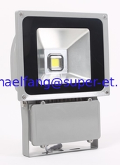 China outdoor 100w LED flood light with UL CUL cert supplier