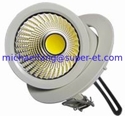 China New LED gimbal downlight COB 30W supplier