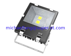 China 100W LED Light super bright with good cooling supplier