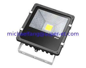 China 50W LED Fluter 4500LM with high cooling system supplier