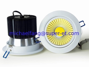 China OEM High brightness 20W LED COB Downlight COB Down light made in china supplier