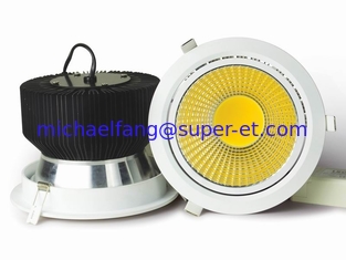 China OEM Manufacture High brightness 45W LED COB Downlight silver color made in china supplier