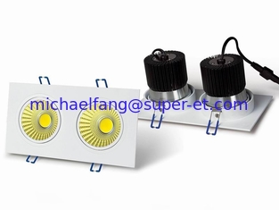 China Good quality good price 2*10W square COB Downlight Square led downlight supplier