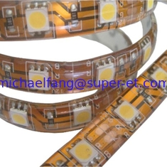 China LED Strip silicone 12/24V DC supplier
