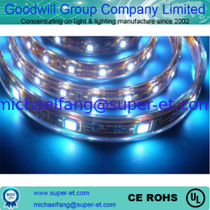 China 12V DC waterproop flexible LED Strip Lights SMD5050 blue color outside led strip supplier